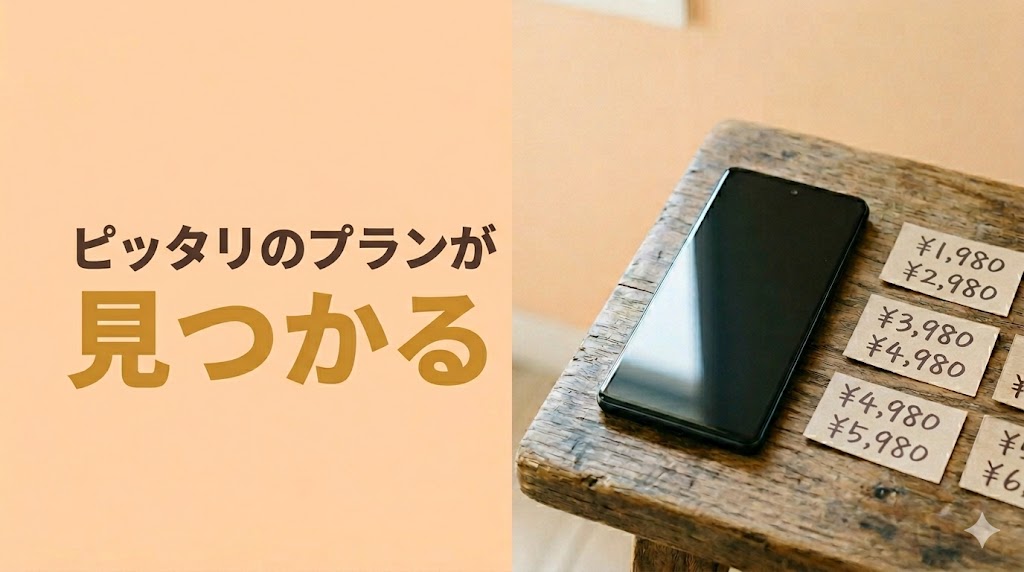 JALモバイル（IIJmio）の料金プランはどれがおすすめ？2GB〜55GBを徹底比較 - H2-01