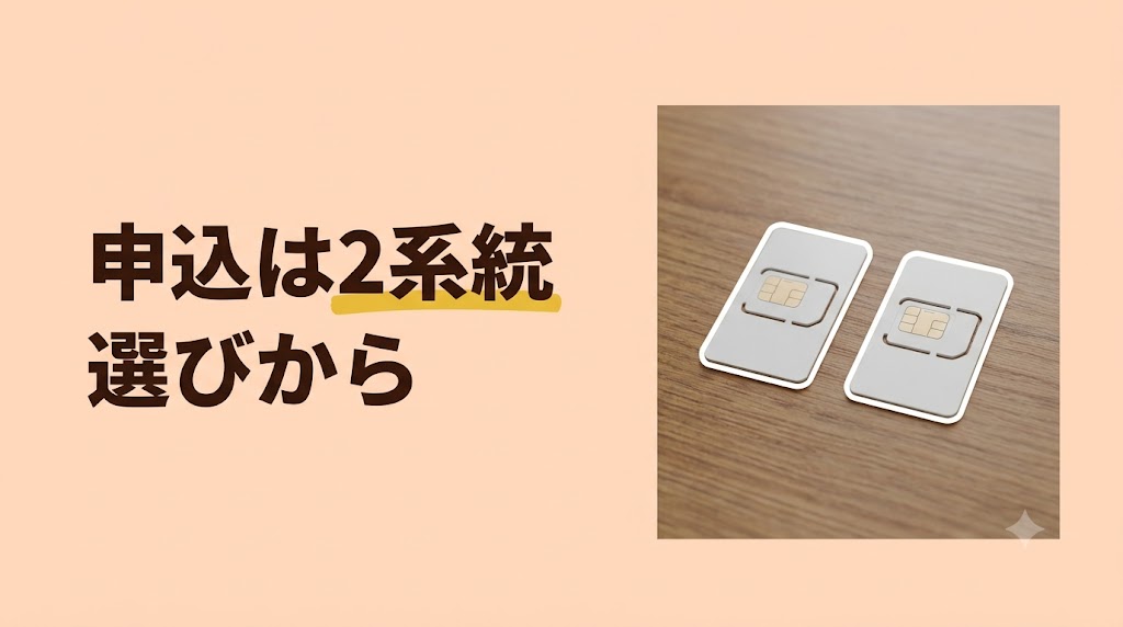 JALモバイルの申込はどうする?IIJmioとahamo(アハモ)の初期費用・申込手順・よくある質問 - H2-01